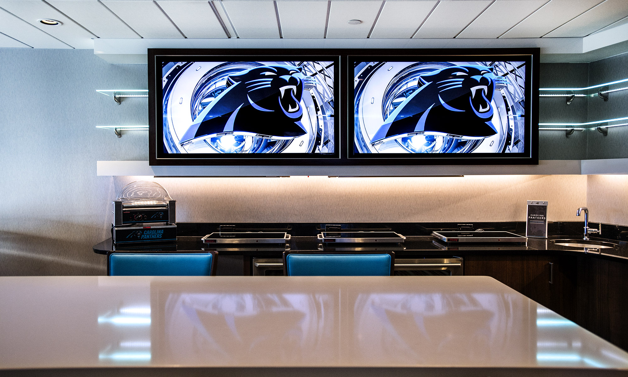 Carolina Panthers